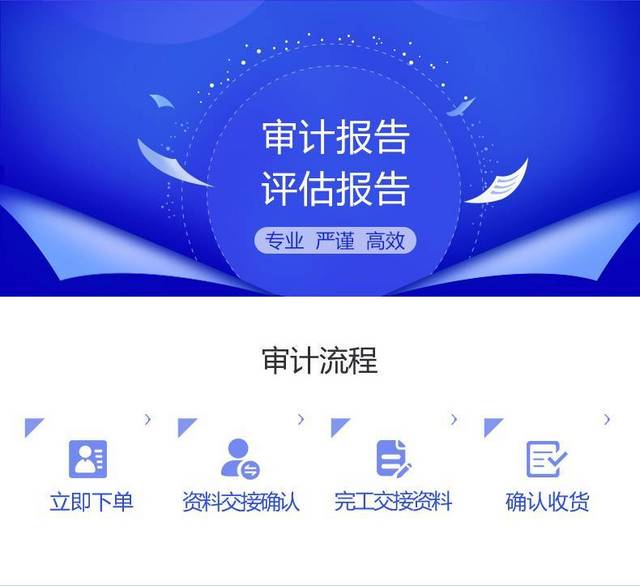 审计报告 审计报告