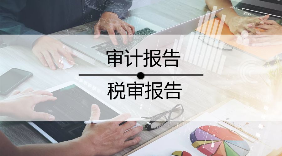 审计报告 税审报告 审计报告 税审报告