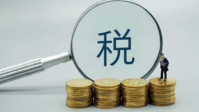 企业增值税 企业增值税