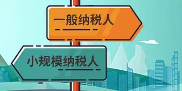 一般纳税人 一般纳税人
