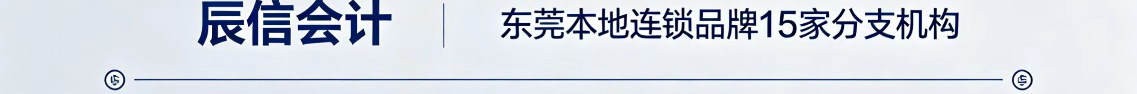 龙岗/龙华/坪山代办营业执照推荐辰信会计 龙岗/龙华/坪山代办营业执照推荐辰信会计